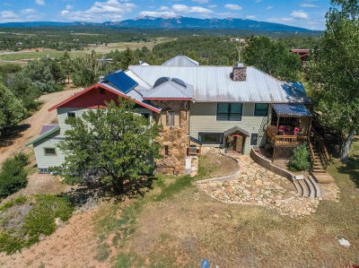 11555 Road 39 Mancos, CO 81328
