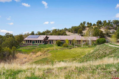 10726 Road 412 Mancos, CO 81328