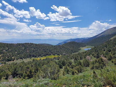0 Pine Nut Mountain Rdg LOT 7 Minden, NV 89423