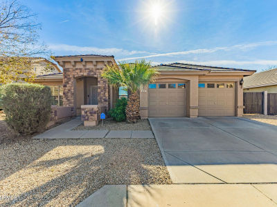 8601 W Flavia Hvn Tolleson, AZ 85353
