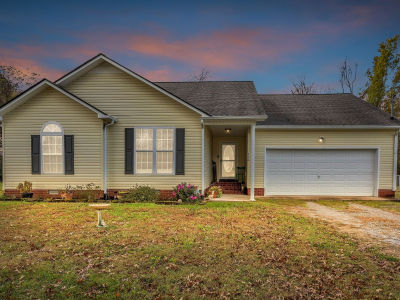 116 Jackson St Mt Pleasant, TN 38474