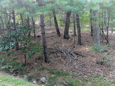 101 Scenic Dr #74 Flat Rock, NC 28731