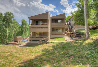 1420 Panadero Ave UNIT 36 La Veta, CO 81055