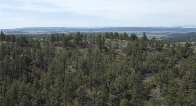 LOT 149 Horse Apple Rd Columbus, MT 59019