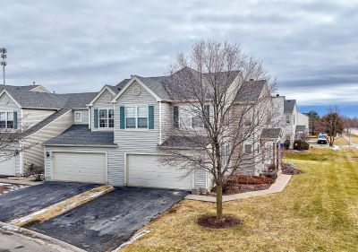 1138 Coneflower Ct UNIT 1138 Minooka, IL 60447