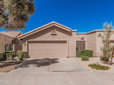 2348 W Comstock Dr Chandler, AZ 85224