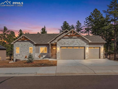 1308 Stone Ridge Dr Woodland Park, CO 80863