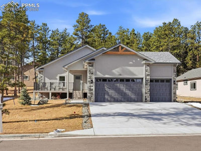 1305 Stone Ridge Dr Woodland Park, CO 80863