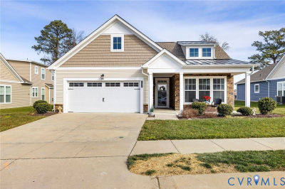 10472 Chickahominy Falls Ln Glen Allen, VA 23059