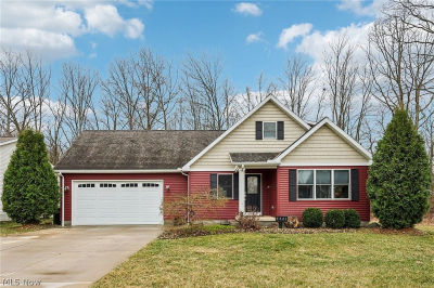 3781 Parkside Reserve St Vermilion, OH 44089