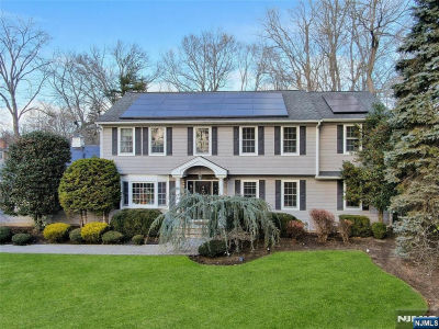 528 Baylor Ave River Vale, NJ 07675