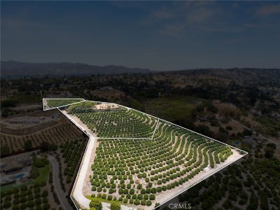 15 Encino Ave LOT 2 Camarillo, CA 93010