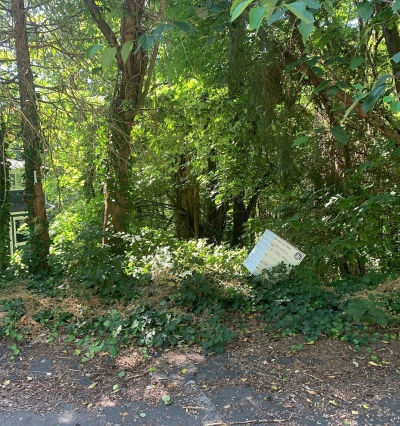 9167 SE 64th St Mercer Island, WA 98040