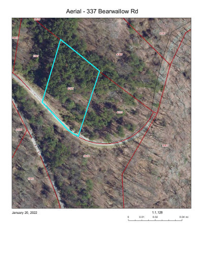 337 Bearwallow Trail, Leicester, NC, USA