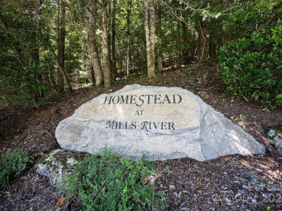 1018 Mills River Way Horse Shoe, NC 28742