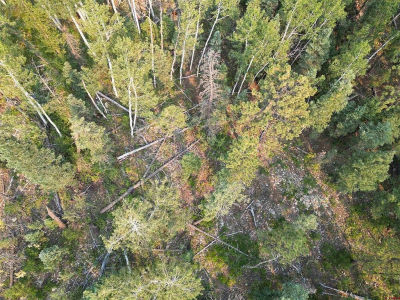 48 Ponderosa Way Durango, CO 81301