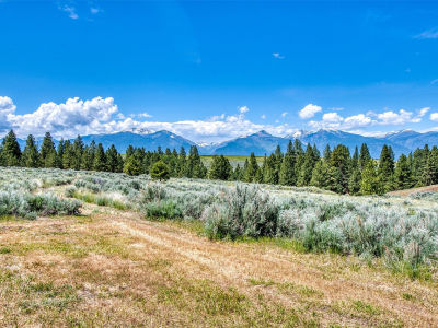 3661 Sagehill Dr Stevensville, MT 59870
