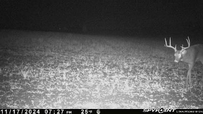 E21504 Karow Rd Augusta, WI 54722