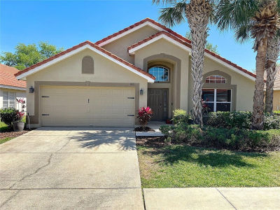 1102 Solana Cir Davenport, FL 33897
