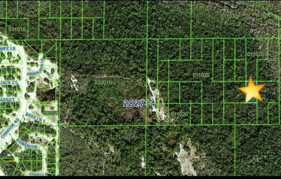 Unincorporated Lot 34 Kissimmee, FL 34759