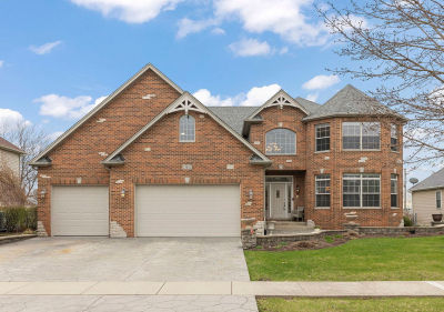 13452 Skyline Dr Plainfield, IL 60585