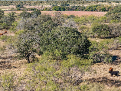 Berry Dairy Rd Bryson, TX 76427