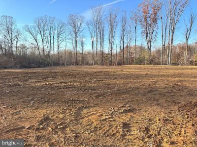LOT 20 Rapidan Farms Dr Lignum, VA 22726