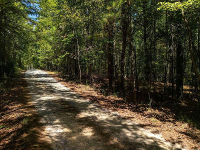 9 Ridgeview Dr Jasper, AL 35504