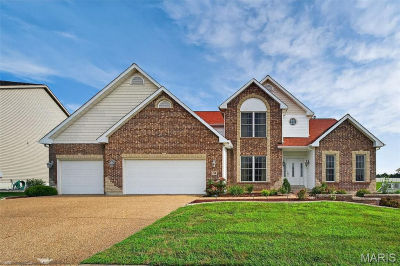 143 Central Park Ave Wentzville, MO 63385