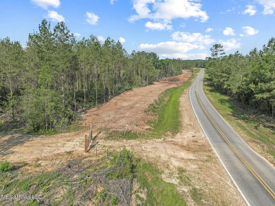 Nhn Bethel Rd Lot 12 Saucier, MS 39574