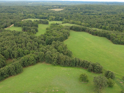 0 County Road 443 Cross Timbers, MO 65634