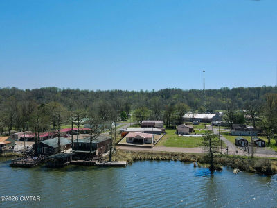 247 E Lakeview Dr Hornbeak, TN 38232