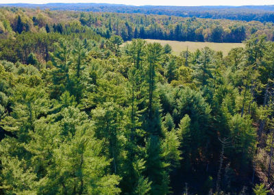 0 Pine Glen Rd Karthaus, PA 16845