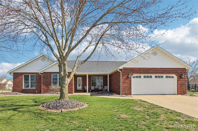 14220 Saint James Ln Breese, IL 62230