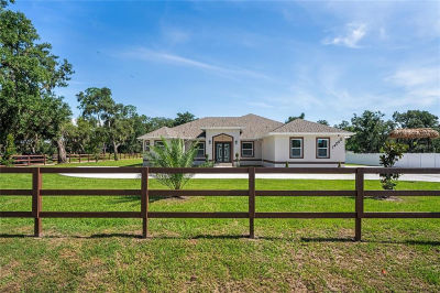 14060 Sydney Rd Dover, FL 33527