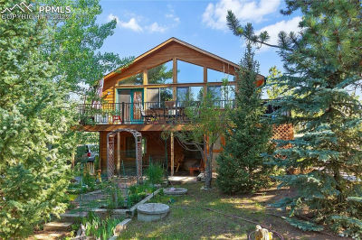 566 Spring Valley Dr Divide, CO 80814