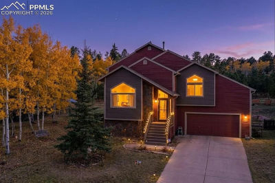 481 Black Bear Trl Woodland Park, CO 80863