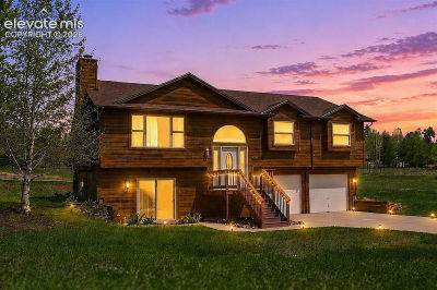 812 Red Eagle Ct Woodland Park, CO 80863
