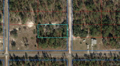0 SE 133rd Ave Dunnellon, FL 34431