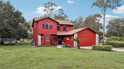 3040 Griffin View Dr Lady Lake, FL 32159