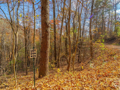 24 Rivers Edge Trl Franklin, NC 28734