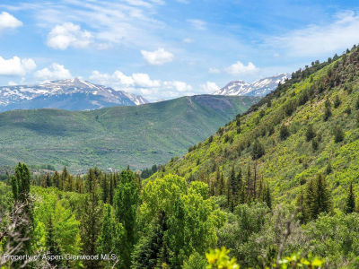 354 Snowmass Creek Rd Snowmass, CO 81654