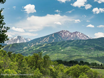 260 Star Mesa Rd Aspen, CO 81611