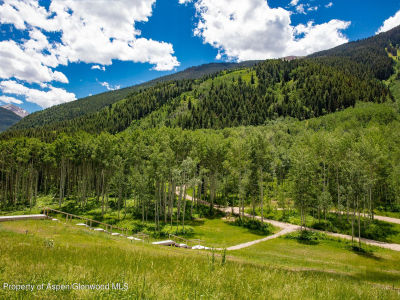 640 S Hayden Rd Aspen, CO 81611