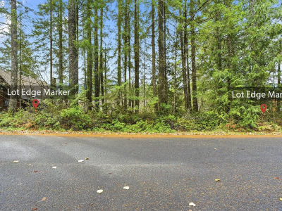 65344 E Sandy River Ln Rhododendron, OR 97049