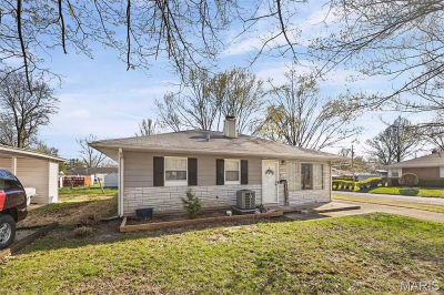 4008 S Park Dr Belleville, IL 62226