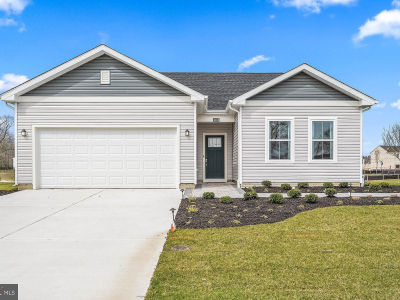 1662 Lake Placid Dr Trappe, MD 21673