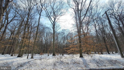 262 White Marsh Rd Centreville, MD 21617