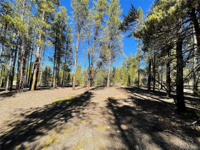 300 Virginia Ave Leadville, CO 80461