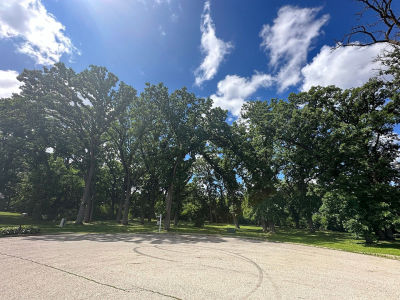 12390 Oakcrest Dr Huntley, IL 60142